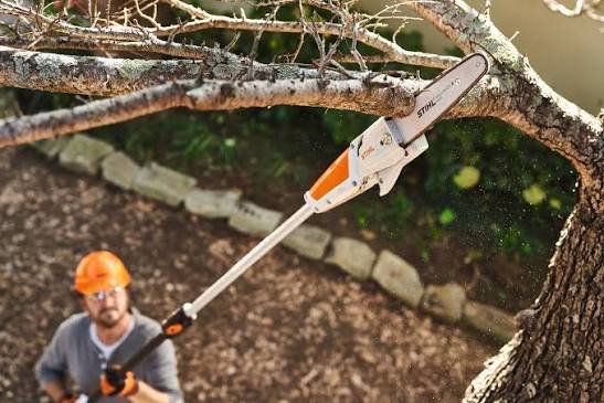 Podadora de altura Stihl HTA 50