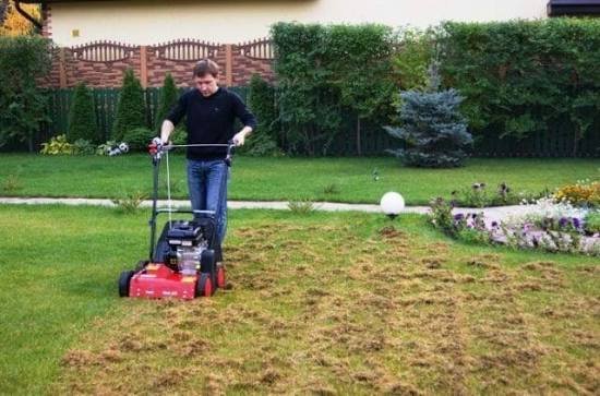 Ilmastin Outils Wolf DU50